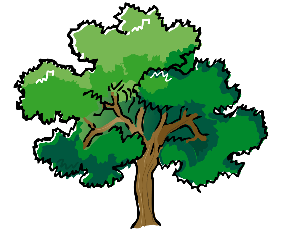 Acacia Tree Clipart