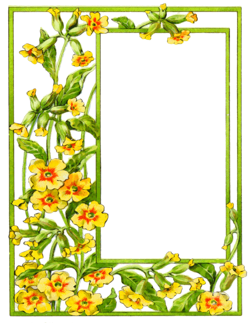 Flower In Woods Clipart
