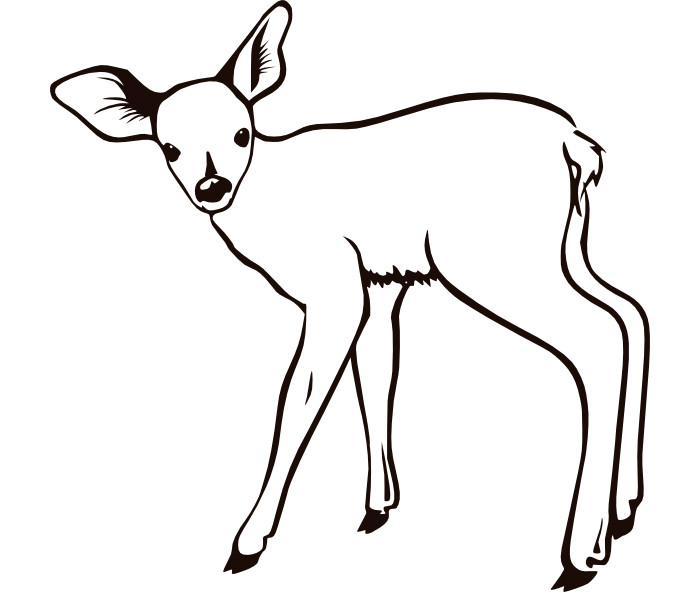 deer-templates-clipart-best