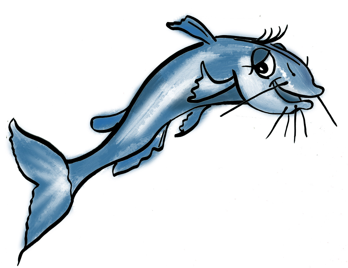 Catfish Animation ClipArt Best