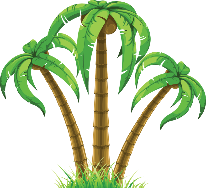 Cartoon palm tree clip art