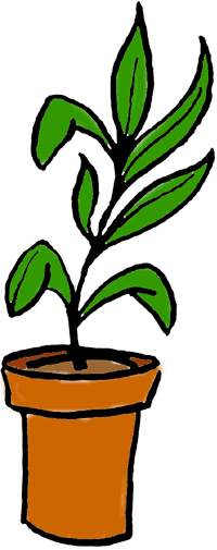 Plant cartoon clip art