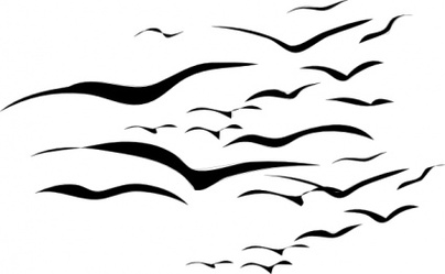Flock Of Birds Silhouette Clipart - Free to use Clip Art Resource