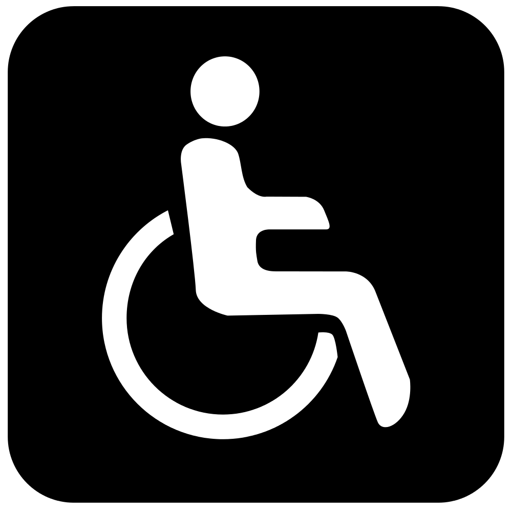 File:NingboRT Disabled Logo.svg