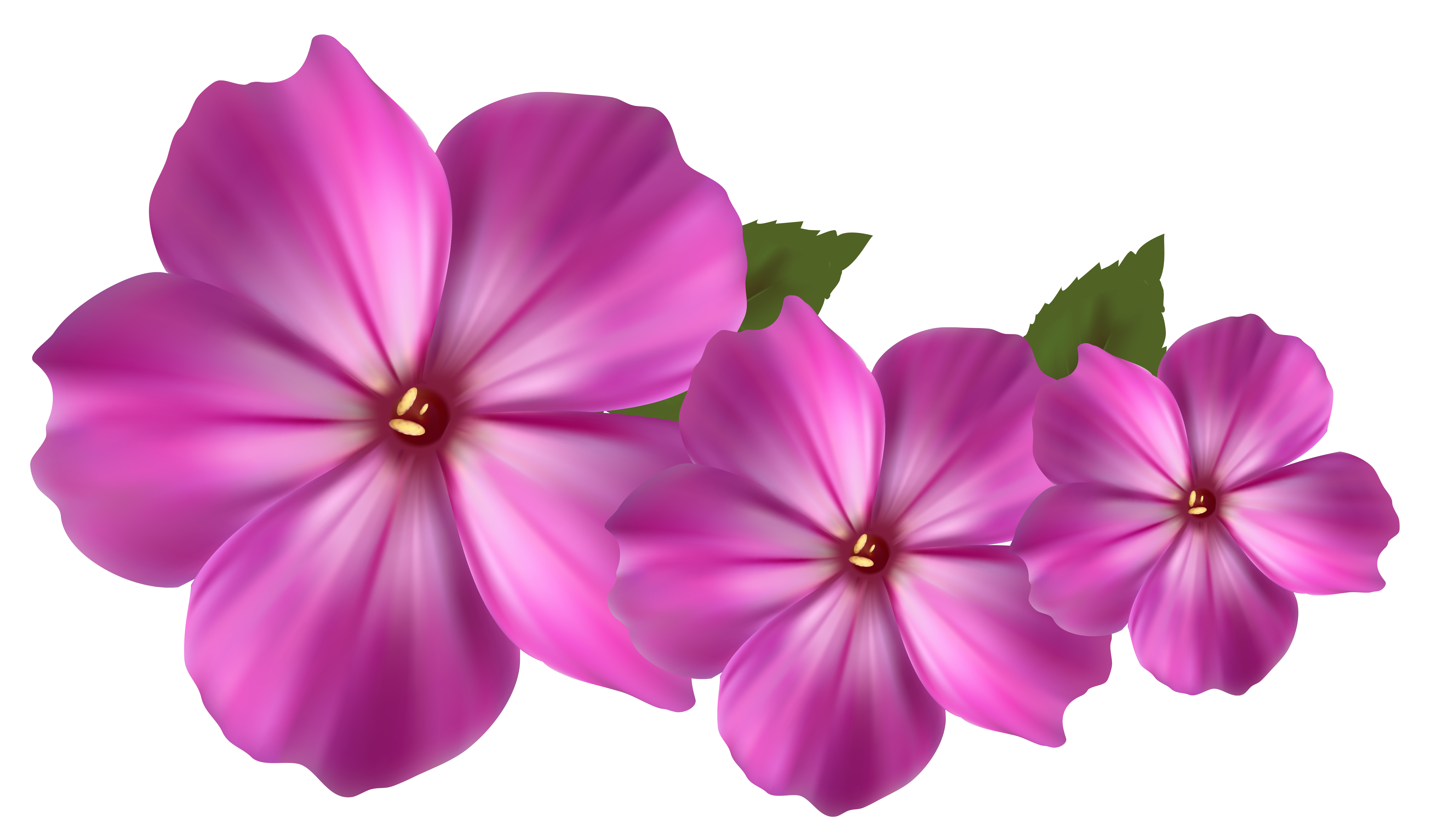 free flower clipart png - photo #1