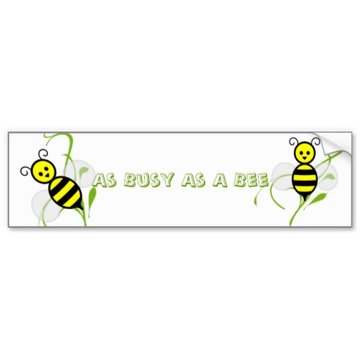 Busy Bee Service Rates Handout Personalized Rack Card from Zazzle.