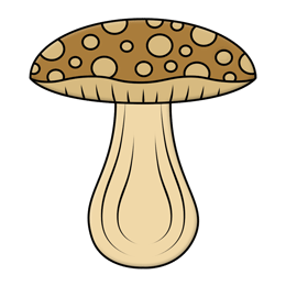 Draw a Cartoon Mushroom