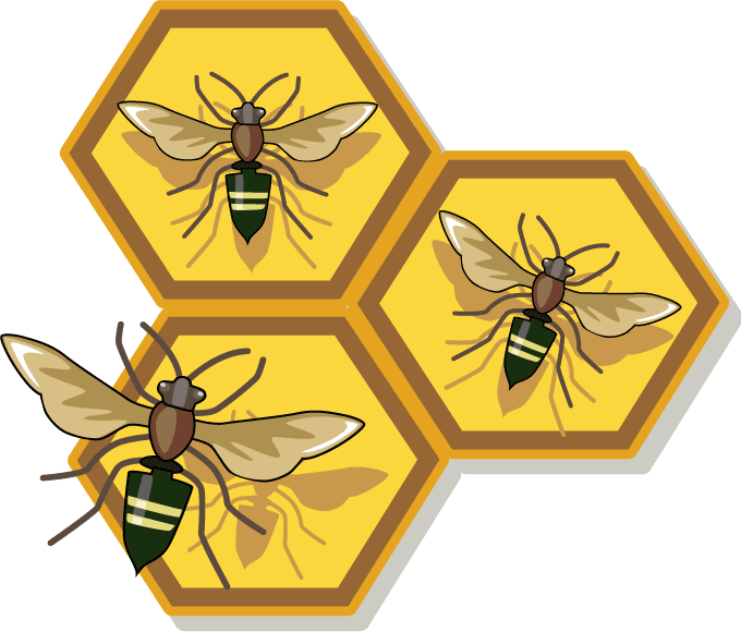 honey images clip art - photo #25