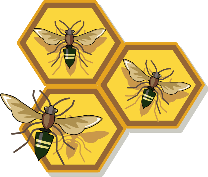 free clipart of honey - photo #11