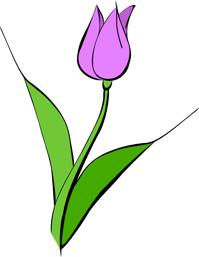 Tulip Clipart - Free Clipart Images