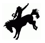 bucking horse tattoo - get domain pictures - getdomainvids.