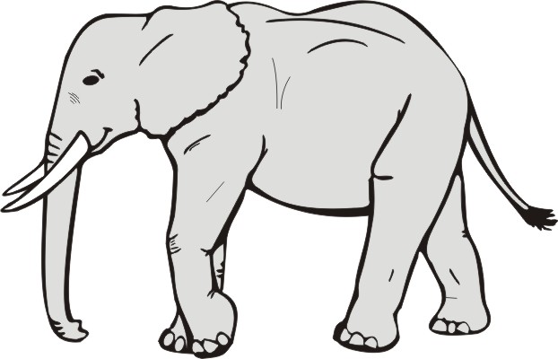 Elephant Clipart Black And White - Free Clipart ...