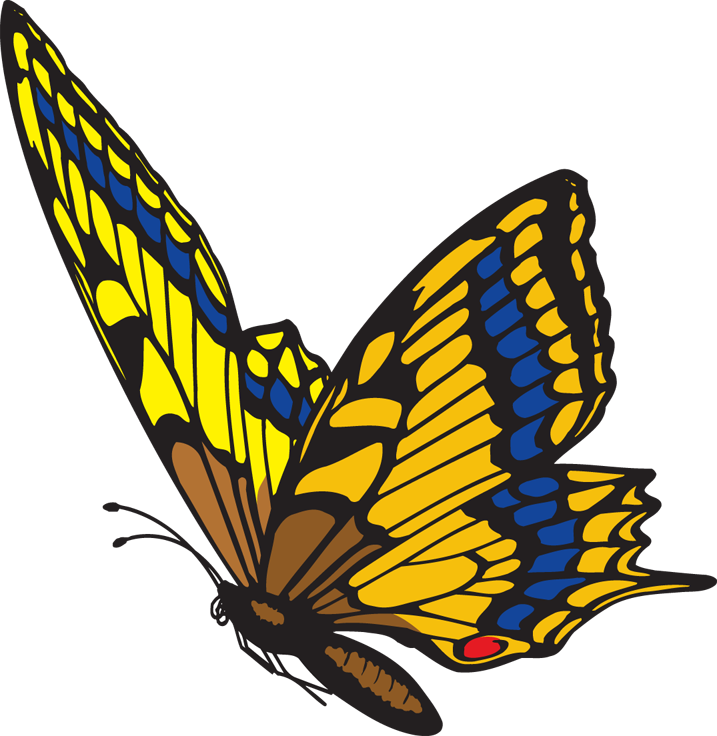 487 views Clipart Butterfly