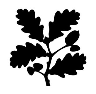 Incarnations of an oak leaf | Treasure Hunt