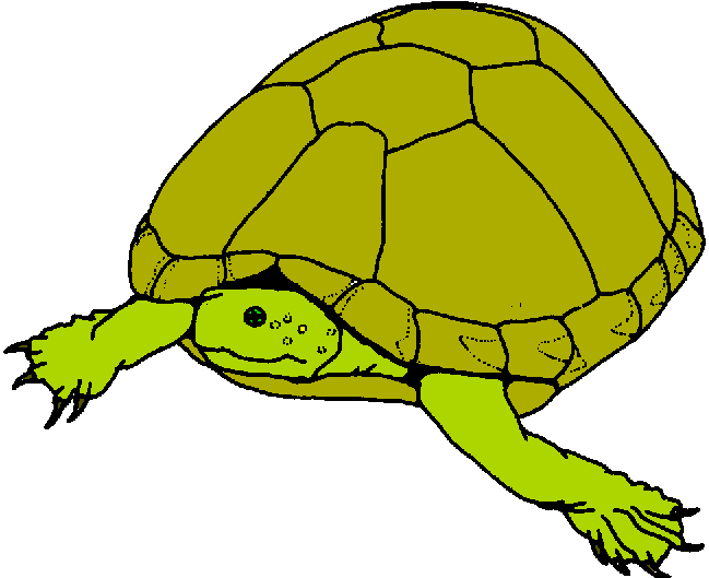 Hawaiian Sea Turtle Clipart - Free Clipart Images