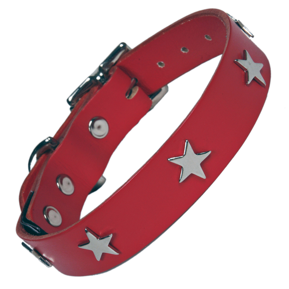 dog collar clipart - photo #14