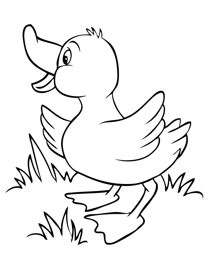 baby duck coloring pages - photo #18
