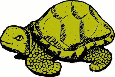 Free Turtles Clipart. Free Clipart Images, Graphics, Animated Gifs ...