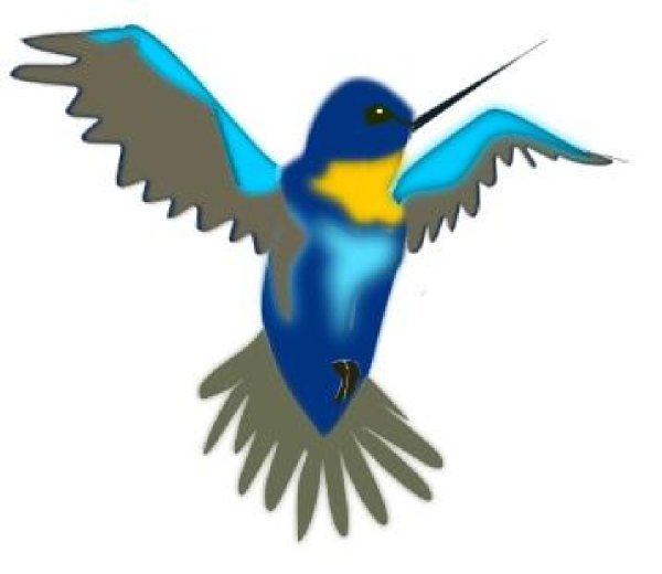 free hummingbird graphics