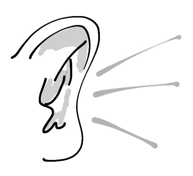A Picture Of An Ear - ClipArt Best
