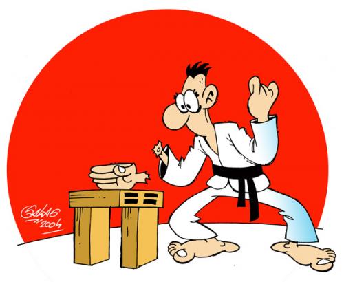 Karate By Salas | Sports Cartoon | TOONPOOL