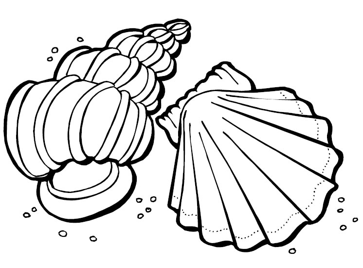 Sea Shells Coloring Page