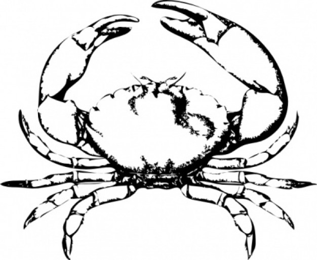 Stone Crab clip art | Download free Vector