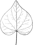 Keyword: "tree with simple leaves" | ClipArt ETC