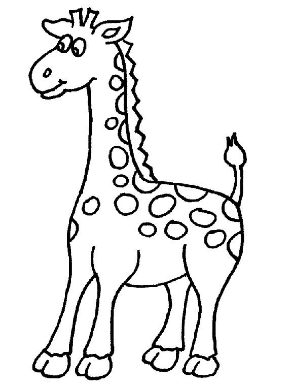 Giraffe Line Drawing - ClipArt Best