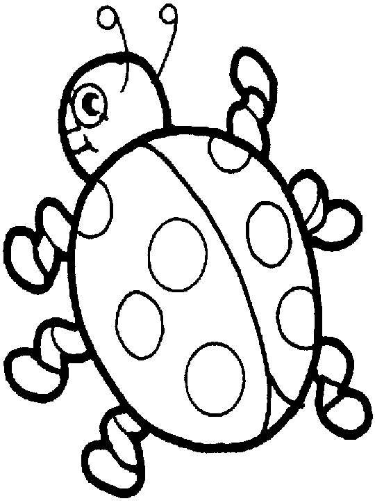 Ladybug Coloring Pages | Color Page