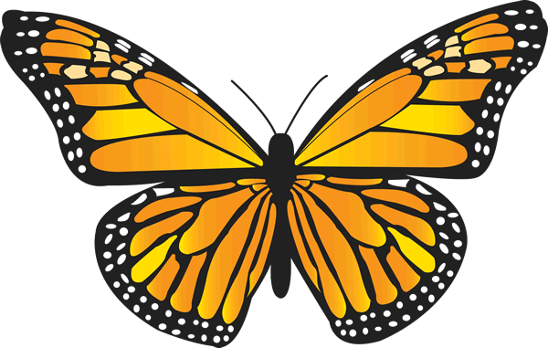 Monarch Butterfly Cartoon | Free Download Clip Art | Free Clip Art ...