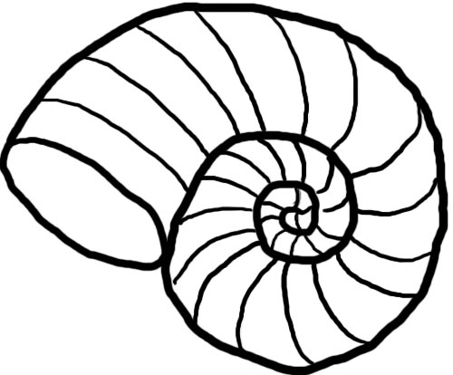 Sea shells clipart black and white
