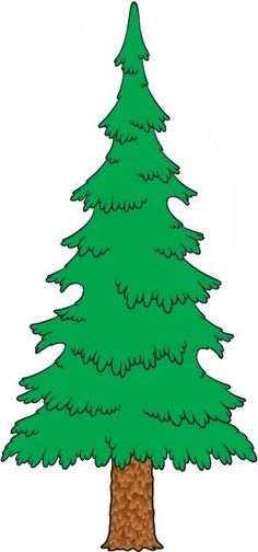 Evergreen Tree Clip Art - Tumundografico