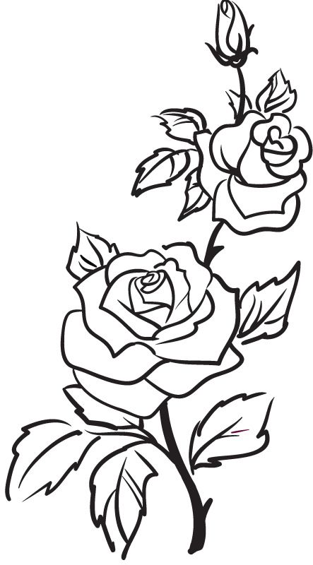 Flower rose outline clipart