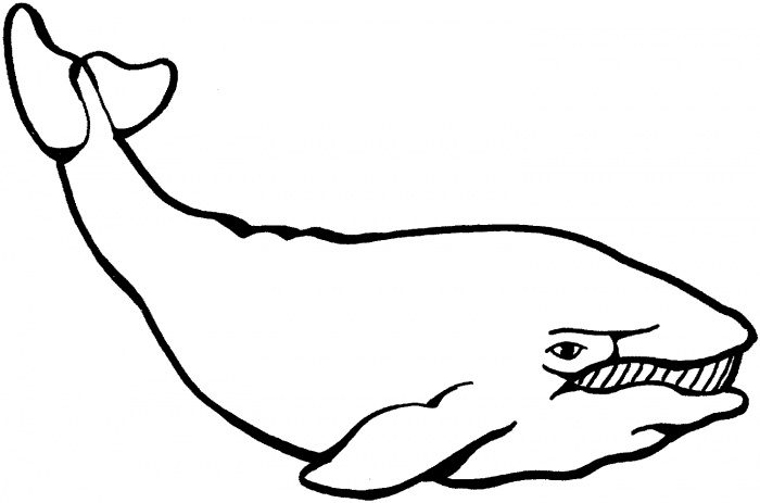 Simple Whale Coloring Page Kids Play Color Whales Coloring Pages ...