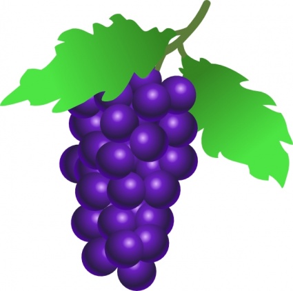 436 views Grapes Vine clip art Free Vector - Food & Drink Vectors ...