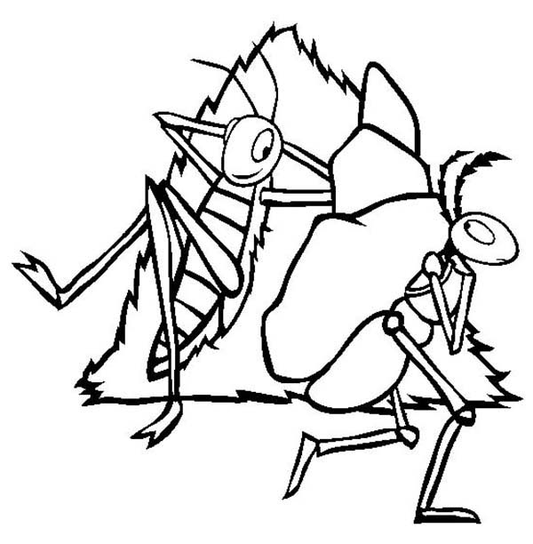 Ant and grasshopper clipart