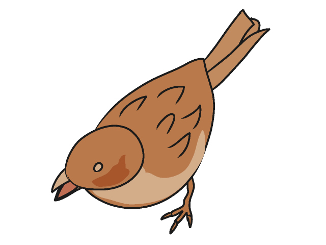 05-Sparrow Clip Art Animal | Free Download