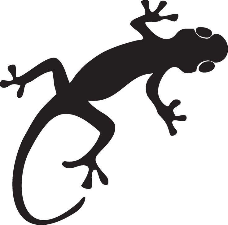 1000+ images about gecko logo | Logos, Pen and ink ...