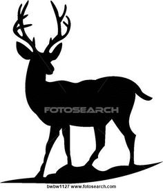 Whitetail deer clip art