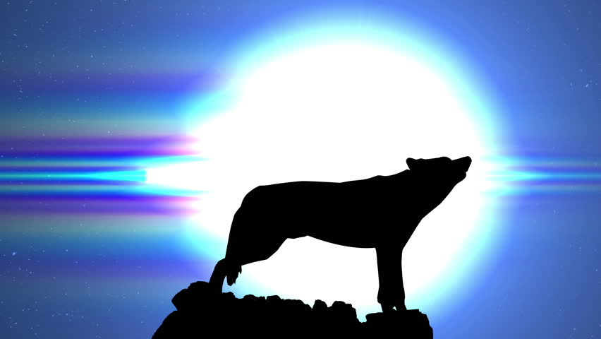 Wolf Howling At The Moon Stock Footage Video 7703389 - Shutterstock