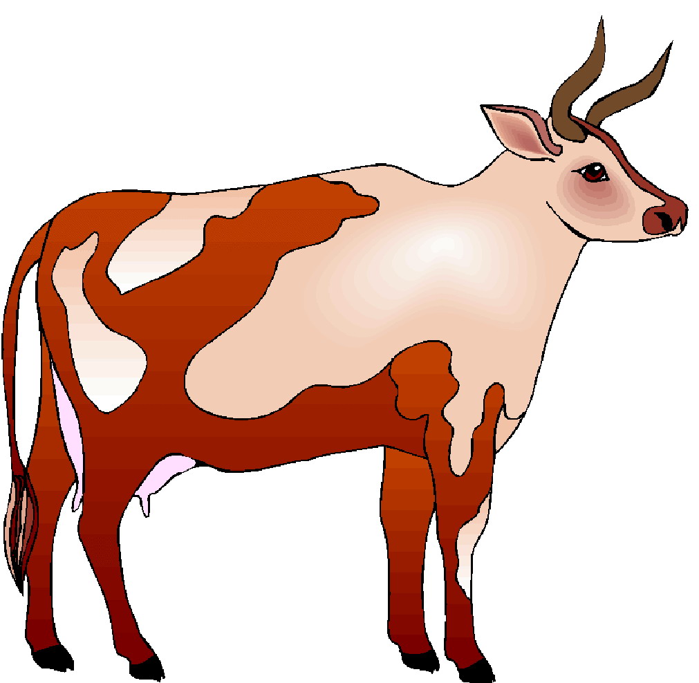Cows Cow Bull Bulls Cattle Bovine Cartoon Animal Round Sticker