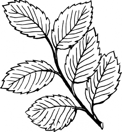 Leaves clip art vector, free vector images