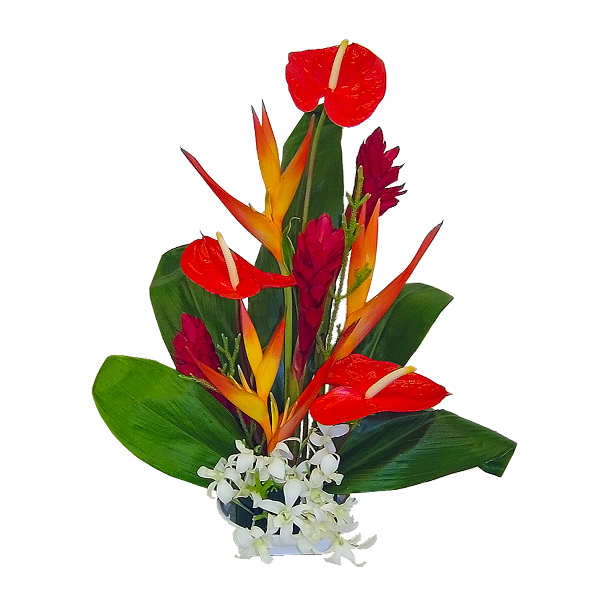 Honokohau Tropical Hawaiian Flowers Bouquet | | Hawaiian Flowers ...