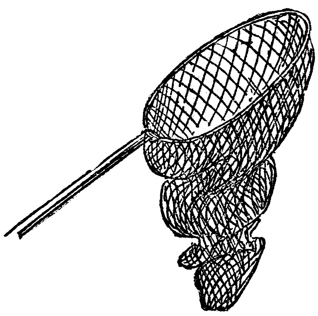 clipart fish net - photo #5