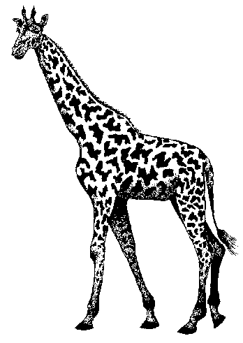 Free Giraffes Clipart. Free Clipart Images, Graphics, Animated ...