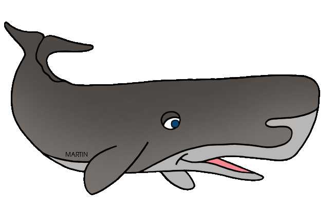 Sperm Whale Clipart