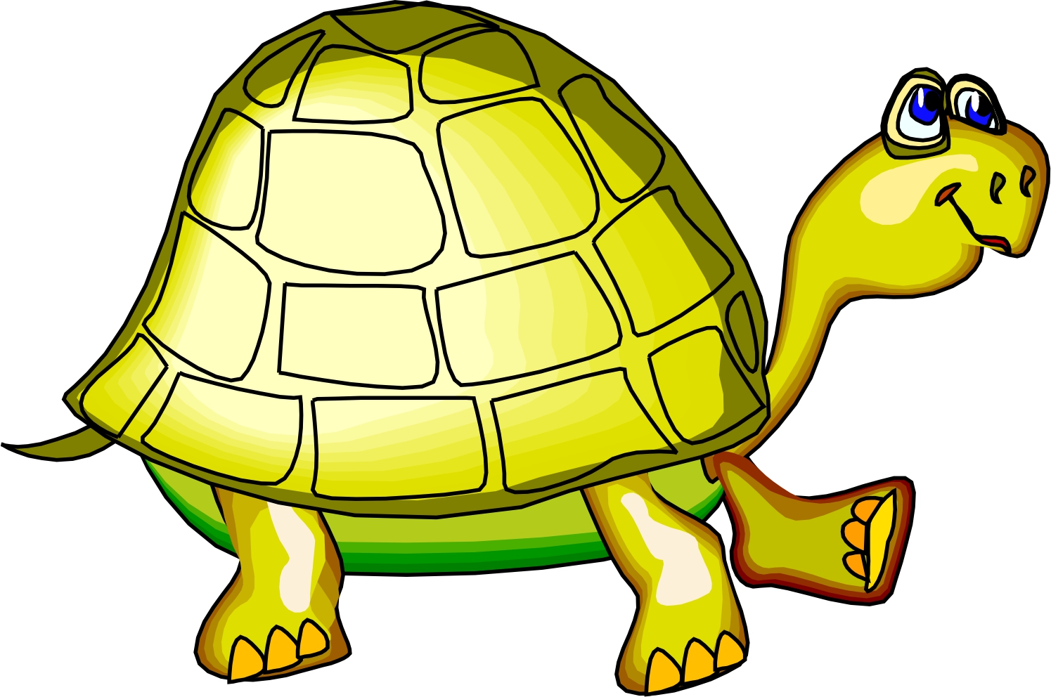 Turtle Images Cartoon