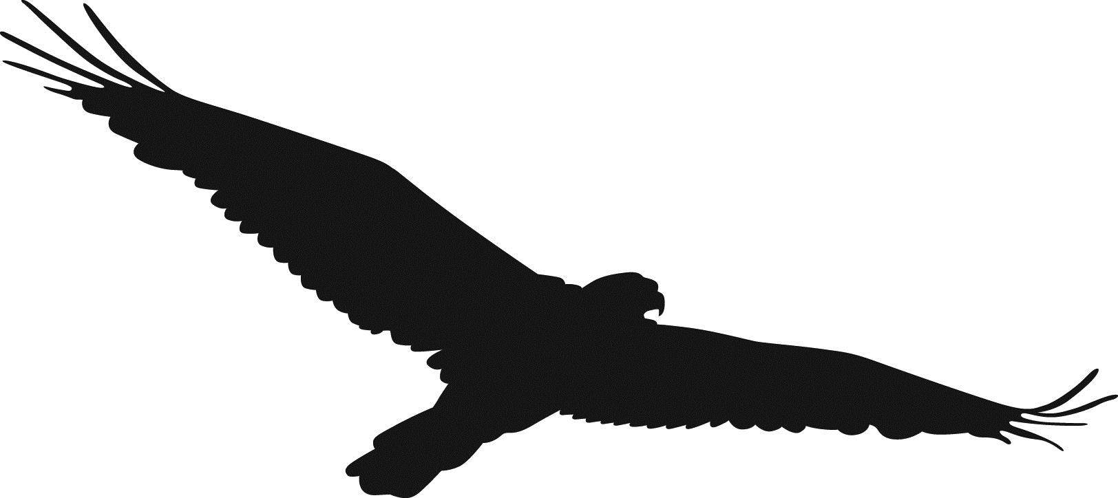 soaring eagle clipart black and white - photo #49