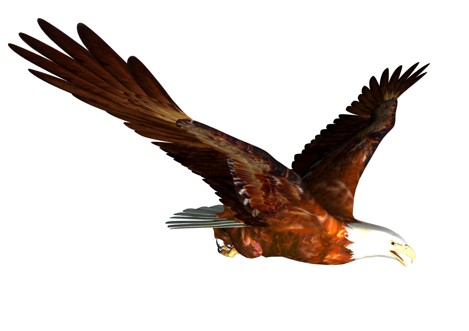 flying eagle clip art free download - photo #24